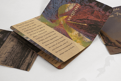 for people with pockets | national park pocketbook series binding design photography typography