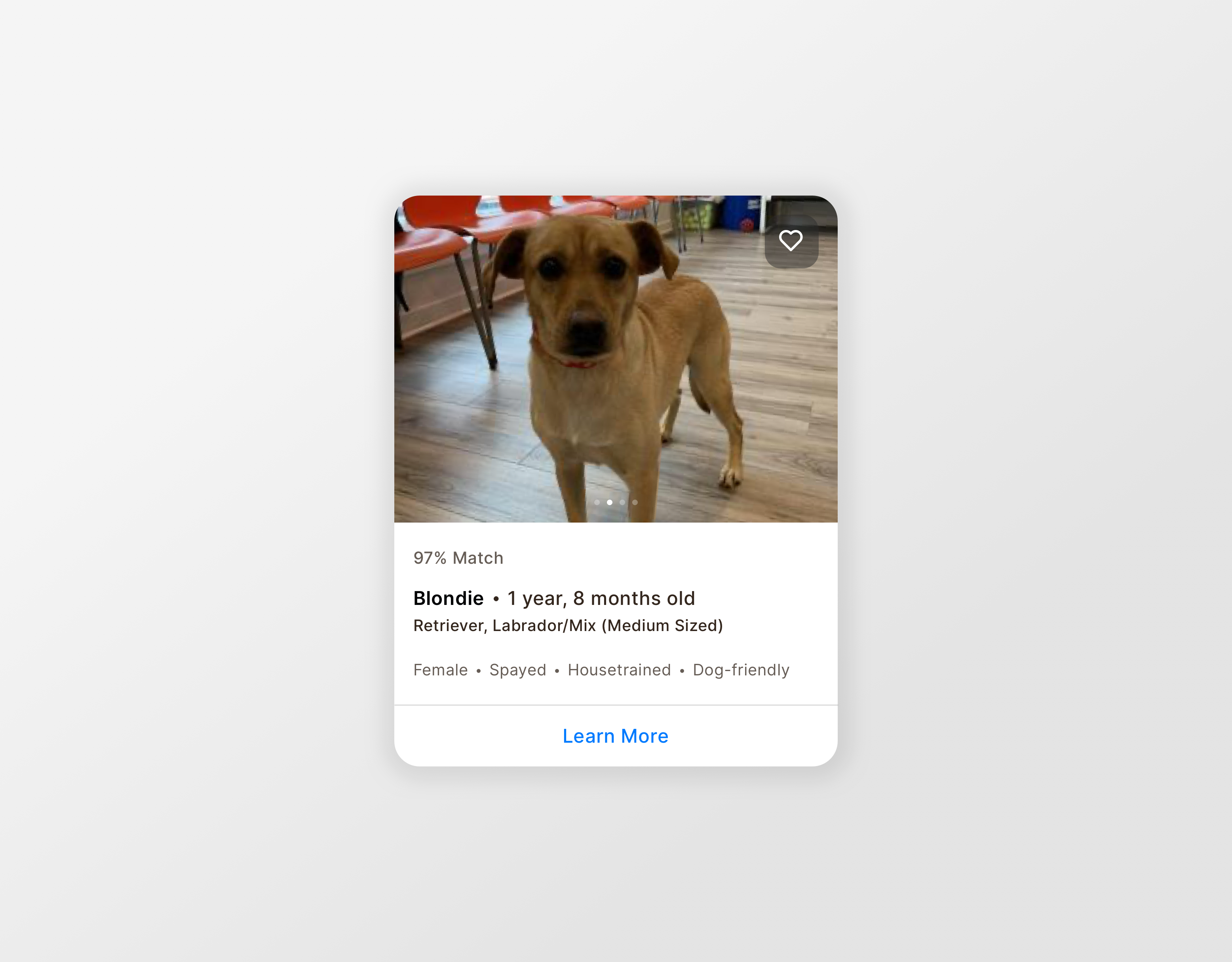 Daily ui 045 - Info card by Katie on Dribbble
