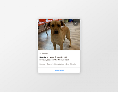 Daily ui 045 - Info card 045 adoptions daily ui doggie style info card saved me