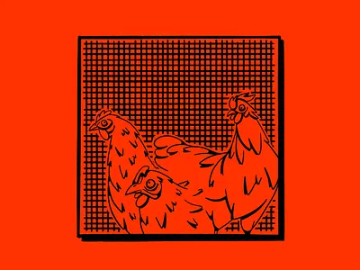 Chicken coop #01 2d chicken hen holiday illustration ipad