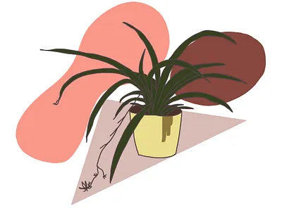 Plants grass illustration interior plant simple