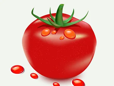 #Tomato Illustration design illustration
