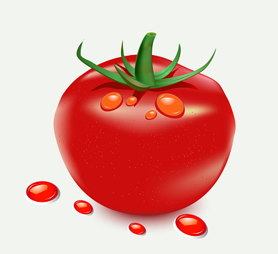 #Tomato Illustration design illustration