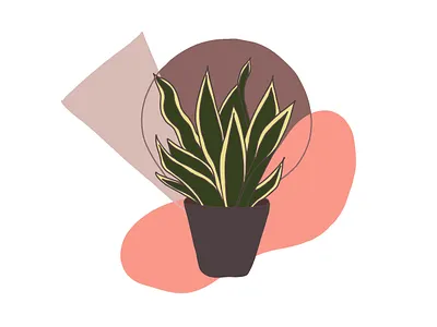 Tchynine jazyky - (mimo mojej najlepsej extchyne) colours illustration interior plant simple simplistic summer