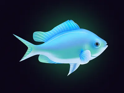 Blue Green Chromis Fish design fish fishes illustraion illustration illustrator noise noise shadow series vector