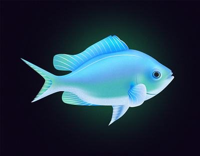 Blue Green Chromis Fish design fish fishes illustraion illustration illustrator noise noise shadow series vector