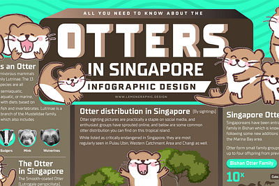 Otters in Singapore infographic design 水獭