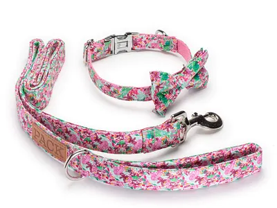 PACK Spring Illustrated Prints all over print branding dog collar dog leash floral floral print illustration logo design painted paisley pattern design pattern designer print design product design repeat pattern repeat print surface pattern surface pattern design textile design tropical print
