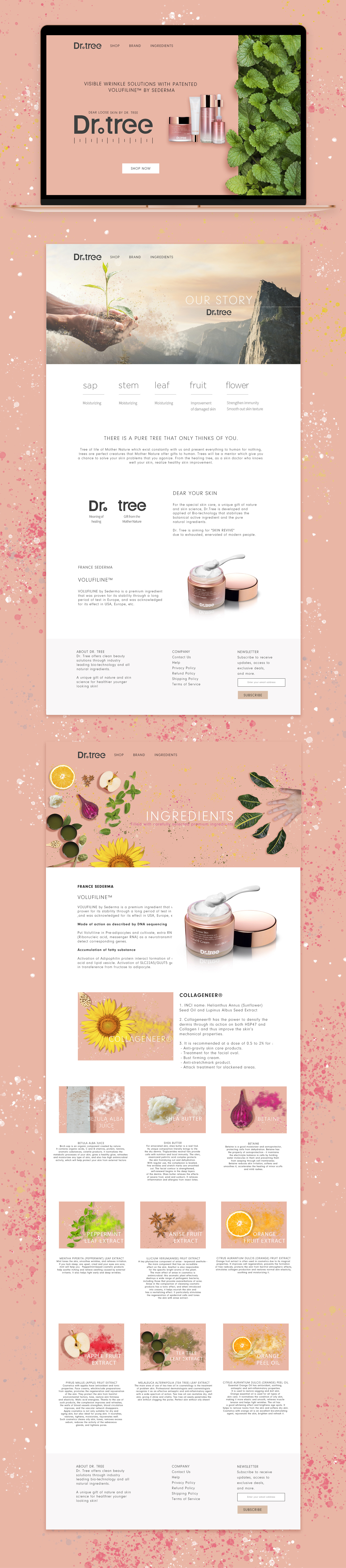 Example of Web Design