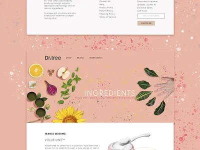 Dr Tree presentation web cosmetic green mainpage mint peppermint pink skincare website