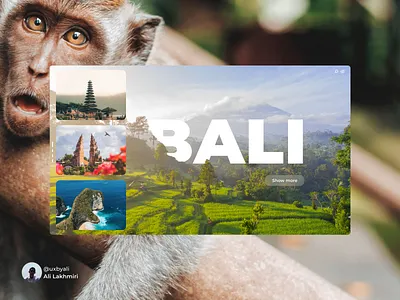 Bali Webdesign branding design minimal ui ui design uiux ux uxdesign web website