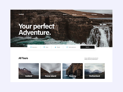 Travel Tours Web concept concept design destination figma tour tourism travel travel agency travel app traveling trip trip planner ui design user inteface ux design web