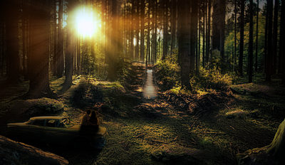 The Forest At Dawn bridge bridges forest forest photo illustration landscape landscape illustration photo manipulation photoshop manipulation