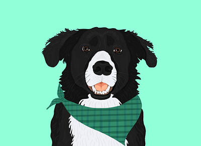 Ollie animal animal illustration design dog dog art dog illustration doggy illustration pet pet illustration pets puppy texture