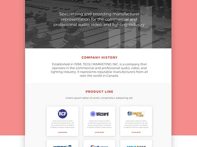 Homepage Design - Teoli Marketing adobe xd landing page