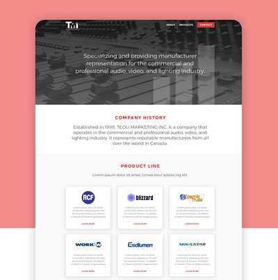 Homepage Design - Teoli Marketing adobe xd landing page