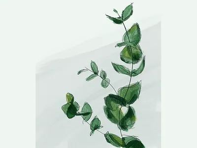 Leaves leaf leaves plants procreate sketch
