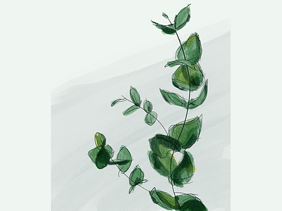 Leaves leaf leaves plants procreate sketch