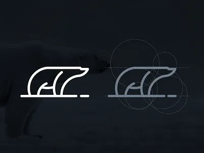 POLAR brand branding combination design forsale graphicdesigns grid illustration inspiration logo logodesign polar rendycemix vector