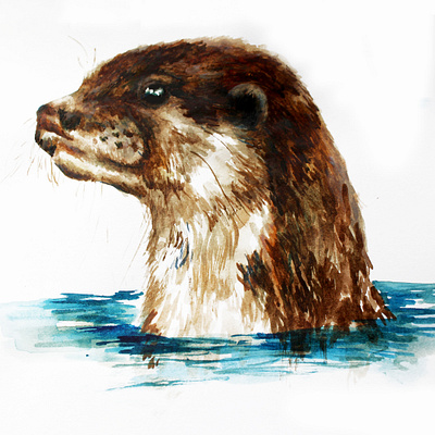 Otter Illustration animal illustration creativity design gouache graphicdesign headshot illustration imagination narrative nature otter otter logo otters photography water watercolor waterfall whiskers wildlife