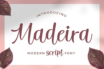 Madeira Script branding design elegant fabulous fashion lettering letters logos lovely modern poster pretty quotes script script font stylish typeface wedding