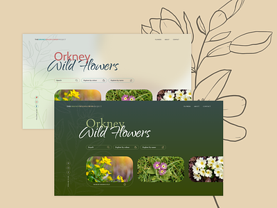 Orkney Wild Flowers UI Design Concept branding design illustration nature orkney scotland ui uidesign ux web webdesign wildflowers