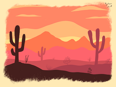 cactus in desert cactus cactus illustration desert design digital painting flat illustration graphic illustration landscape landscape illustration procreate sunset