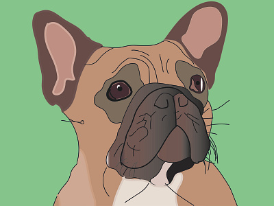 French bulldog adobe illustrator dog dog illustration frenchbulldog frenchie ilustrator