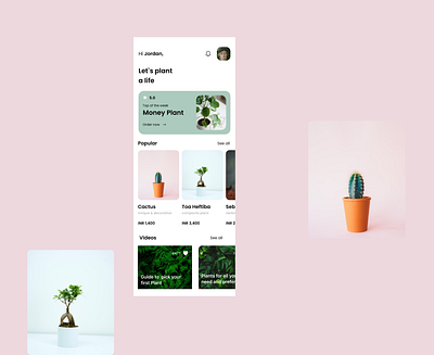 Plants have feelings too! - #notawhatsappfact branding design figma figmadesign isometric illustration logo orange ui vector web