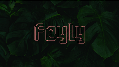 Feyly | A Modular Typeface graphic design typeface typography