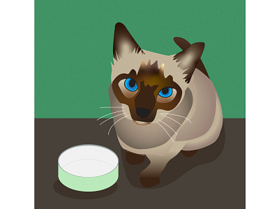 My Kitten Willow cats graphicdesign illustration kittens meezer pets siamese vector