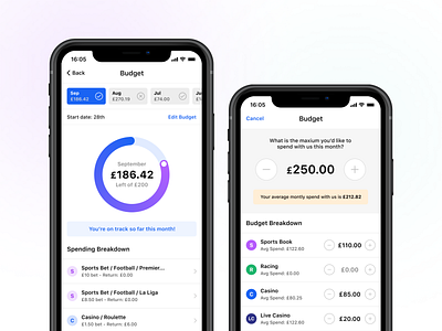 Gambling Budget Tool 💰 app betting budget gambling gambling design money tracker ui ux