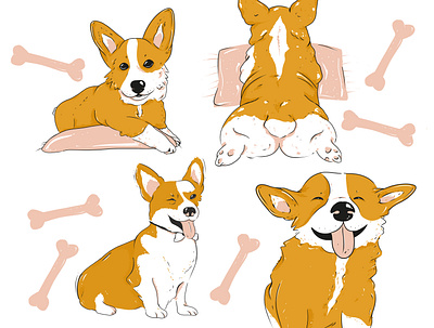 Corgi cuteness. animals corgi corgis cute illustration doggo doggust doggy dogs illustration illustration art photoshop