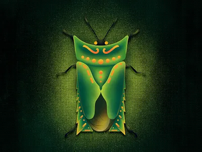 Asiarcha angulosa The Shield Bug bug bugs design illustraion illustration illustrator noise noise shadow shadow vector