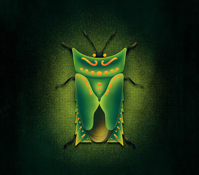 Asiarcha angulosa The Shield Bug bug bugs design illustraion illustration illustrator noise noise shadow shadow vector