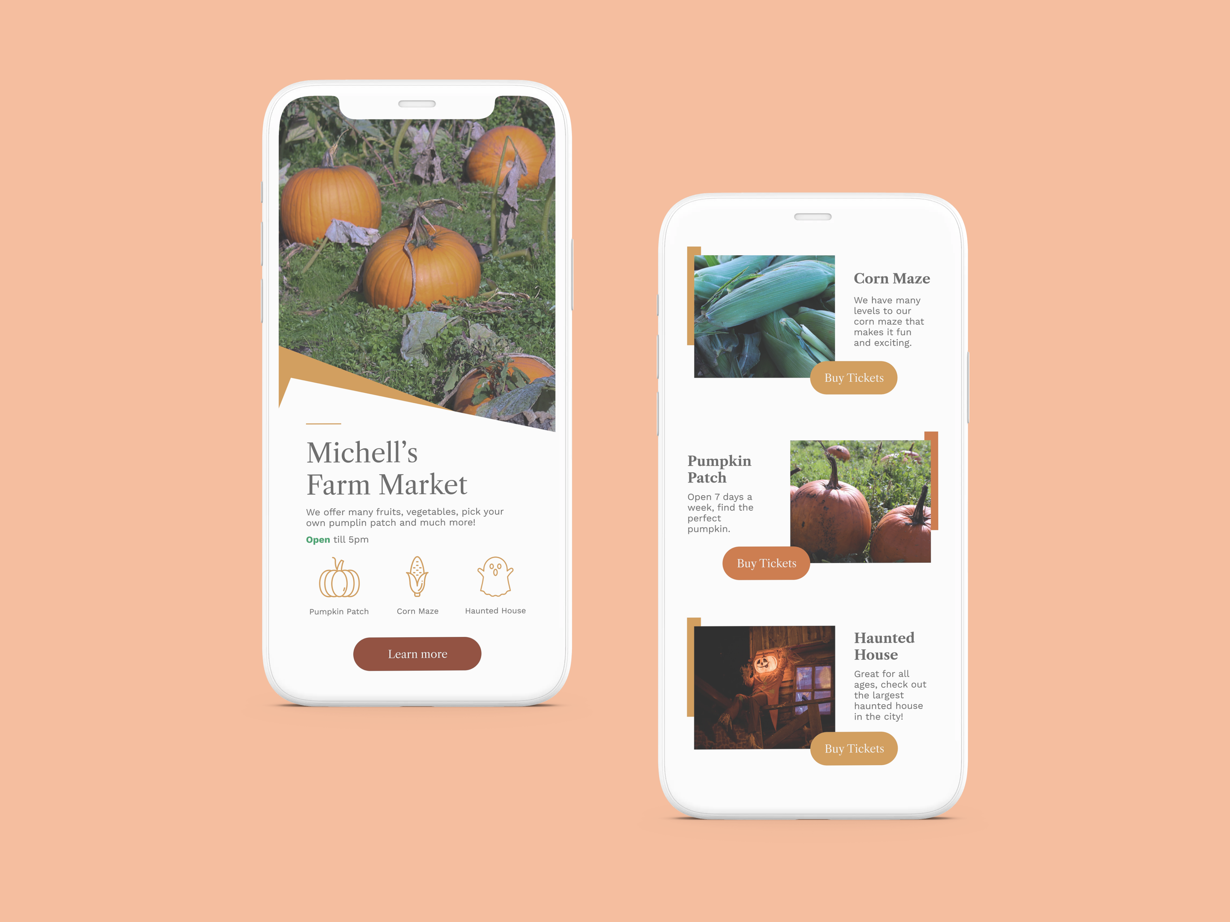 Example of Michell's Farm Market Revamp