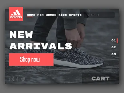 Adidas UI clothing illustration shoes ui web web design website