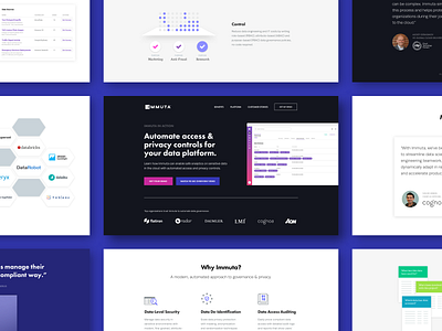 Automated Data Governance | Landing Page access control b2b compliance cro data architecture data governance landing page ppc privacy regulation saas security software ui ux web web design
