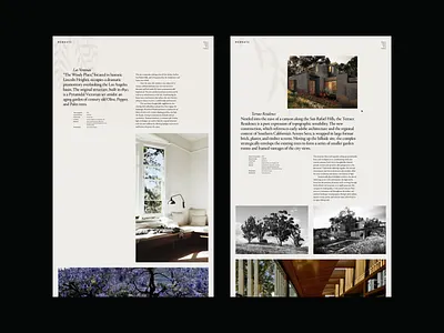 BERNATZ.2 shadow threejs