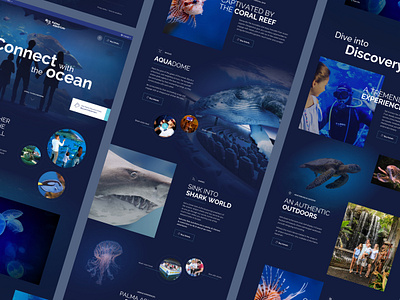 Palma Aquarium aquarium fish hero homepage landing page sea sketch ui ux web design website