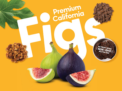 Product Photography california fig ingredients figs food photography photography