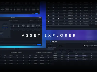 AssetExplorer | Fintech Web App app branding data fintech interaction design product design saas ui ux web