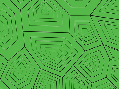 7. Inktober Illustrations adobe illustrator design digital illustration digitalart graphicdesign gren black illustration illustration art pet pet turtle print shell texture vector vectorart