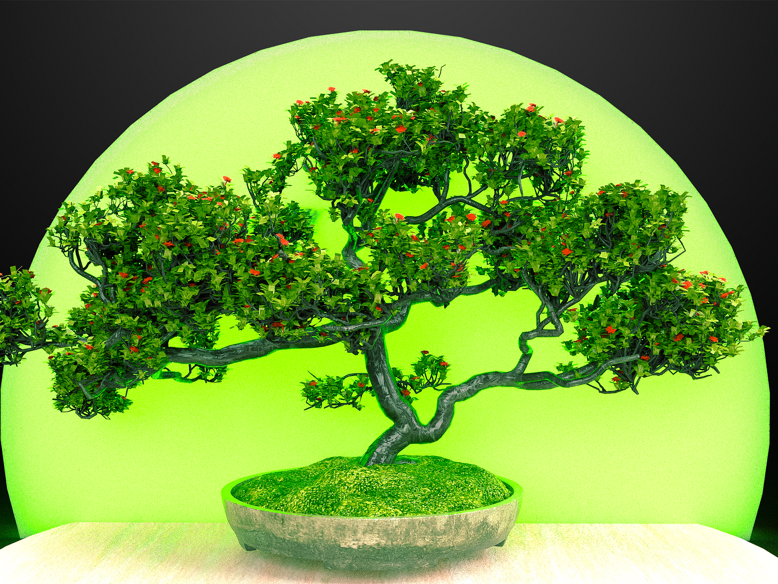 Premium Bonsai 3D LED – Ronnie Shop