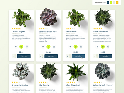 Succulent Shop Product Cards branding card cards clean e commerce design e commerce shop ecommerce interaction minimalism online seller online store palette plants product card product page succulent