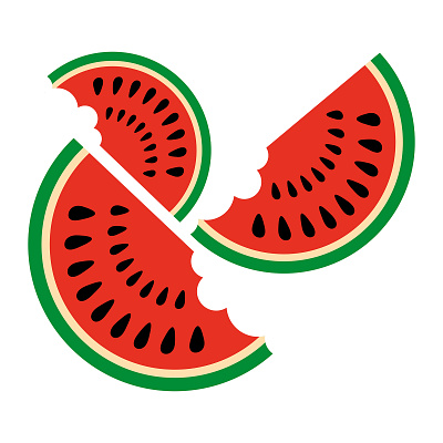 Water Melon adobe illustrator concept design flat illustration illustrator logo vector watermelon