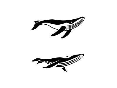 humpback whale - sketches 3 animal branding brandmark custom logo design identity identity designer logo logo design logo designer mark process sketches symbol designer whale