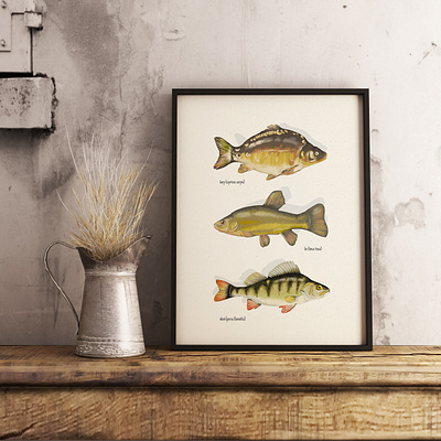 Sth. fishy design fish illustraion illustration illustration art interior design nature photoshop photoshop art photoshop brushes poster poster art poster design rustic