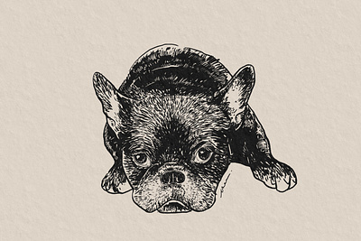 French Bulldog Ink Drawing dog domestic animal french bulldog frenchie illustration ink drawing pet