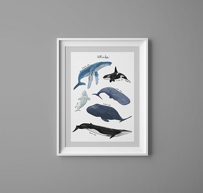 Whale poster flat illustration poster vector whale whales